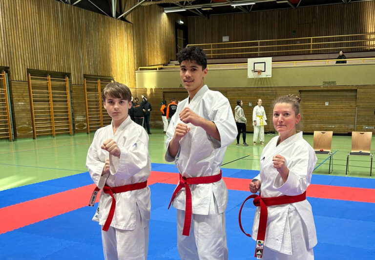 Turnierbericht: Erfolgreiche Teilnahme am GKVBW- und Para-Karate-Cup 2024 in Heilbronn-Frankenbach